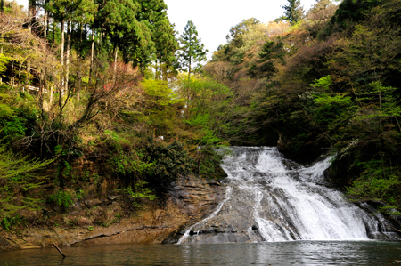 スポット⑦粟又の滝