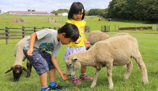 子どもと一緒に行ける！楽しめる♪千葉県の観光スポット15選！