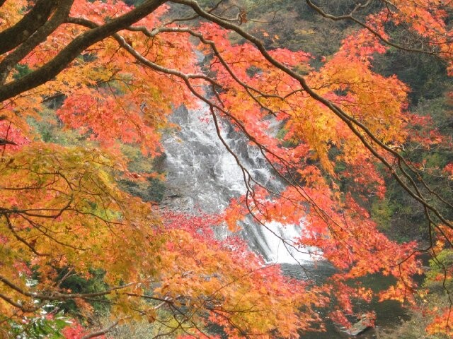 1位：養老渓谷