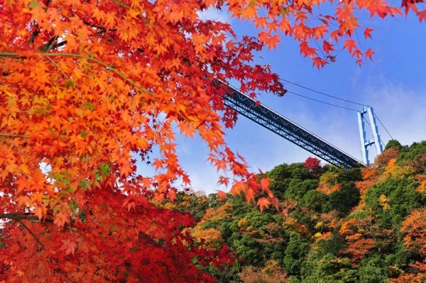 もっと紅葉ドライブをしたいなら『千葉に近い茨城』へ