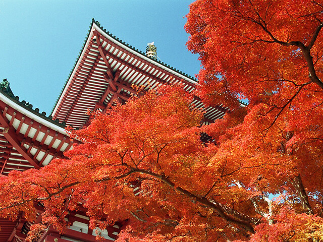 3位：成田山新勝寺