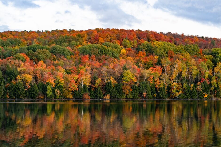 【千葉】紅葉時期や穴場スポットを紹介！とっておきの場所で秋を存分に楽しむ