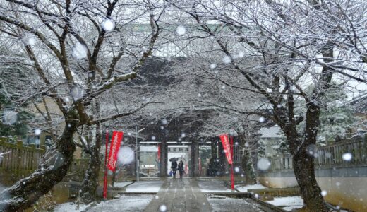 【市川市】世界三大荒行の地・中山の法華経寺は凄いお寺だった！【神社仏閣】