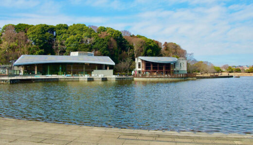 【松戸市】21世紀の森と広場はこんな公園！遊具や癒しスポットを画像で紹介