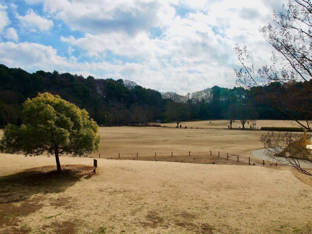 園内で一番広い芝生エリア『水と風の広場』