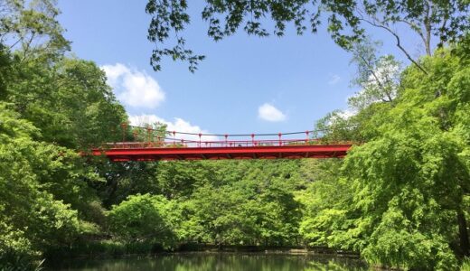 【千葉市若葉区】都心に近い大自然！泉自然公園に行ってみよう