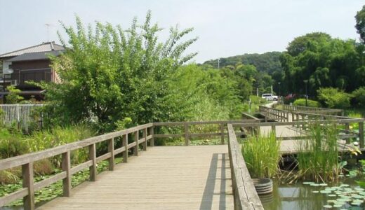 【千葉市】水辺に集まる野鳥のオアシス！千葉県の花島公園に行ってみよう