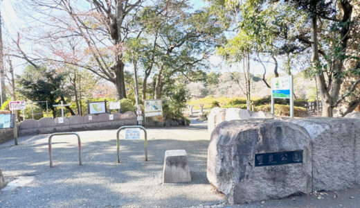 【市川市】かつては戦場跡地だった里見公園。歴史を感じる人気のお花見スポット